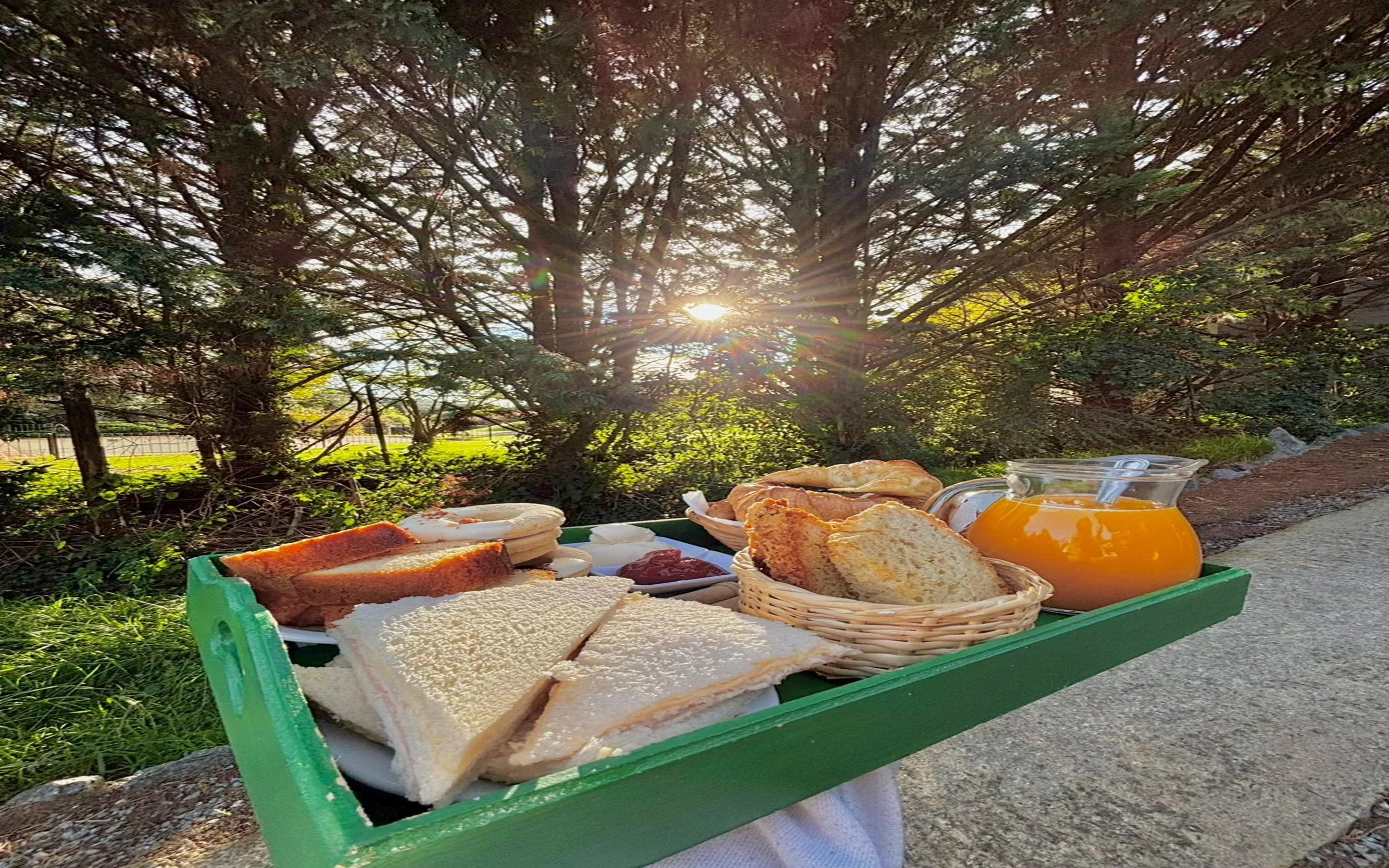 bandeja desayuno y árboles de fondo