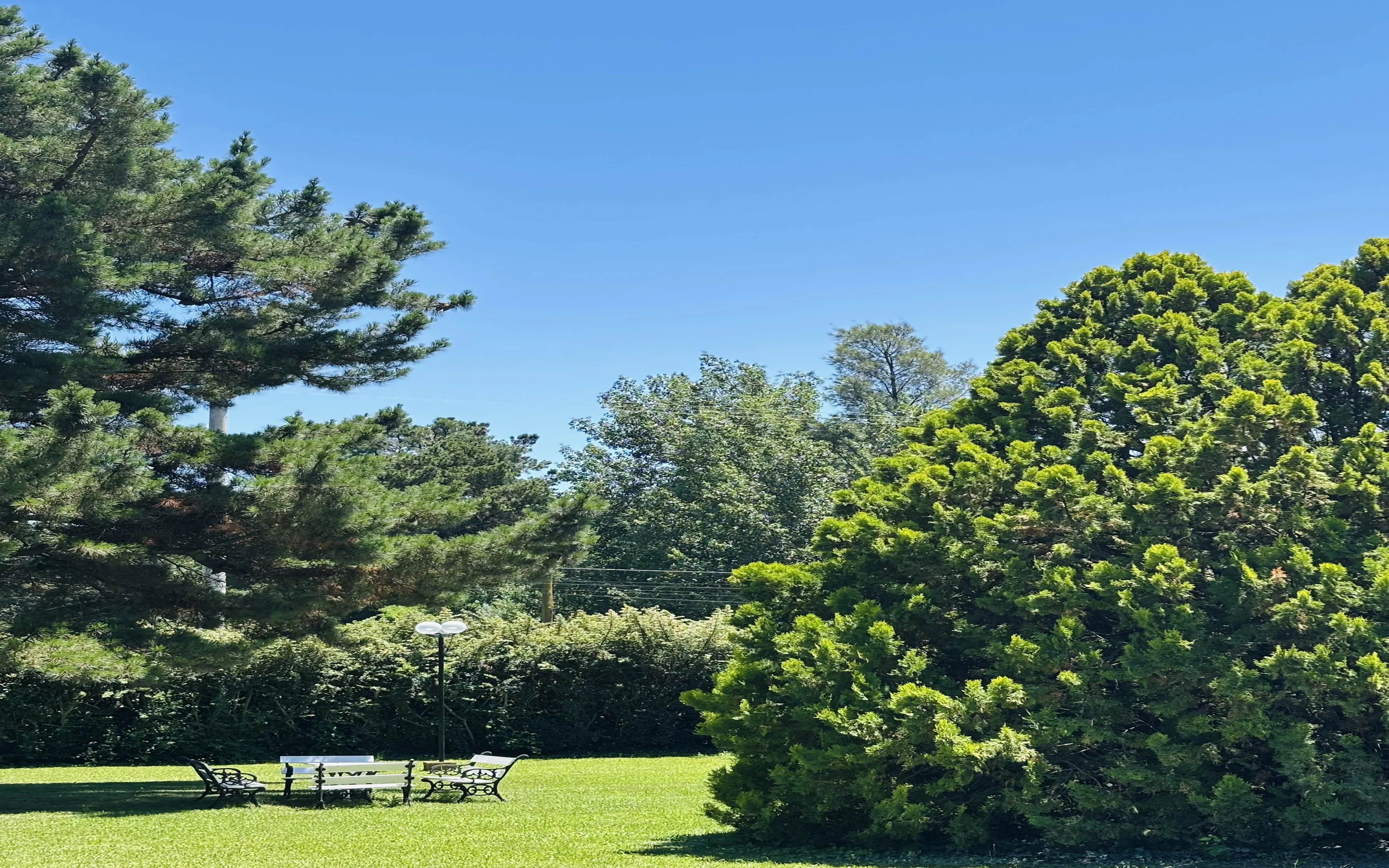 bancos jardin adelante