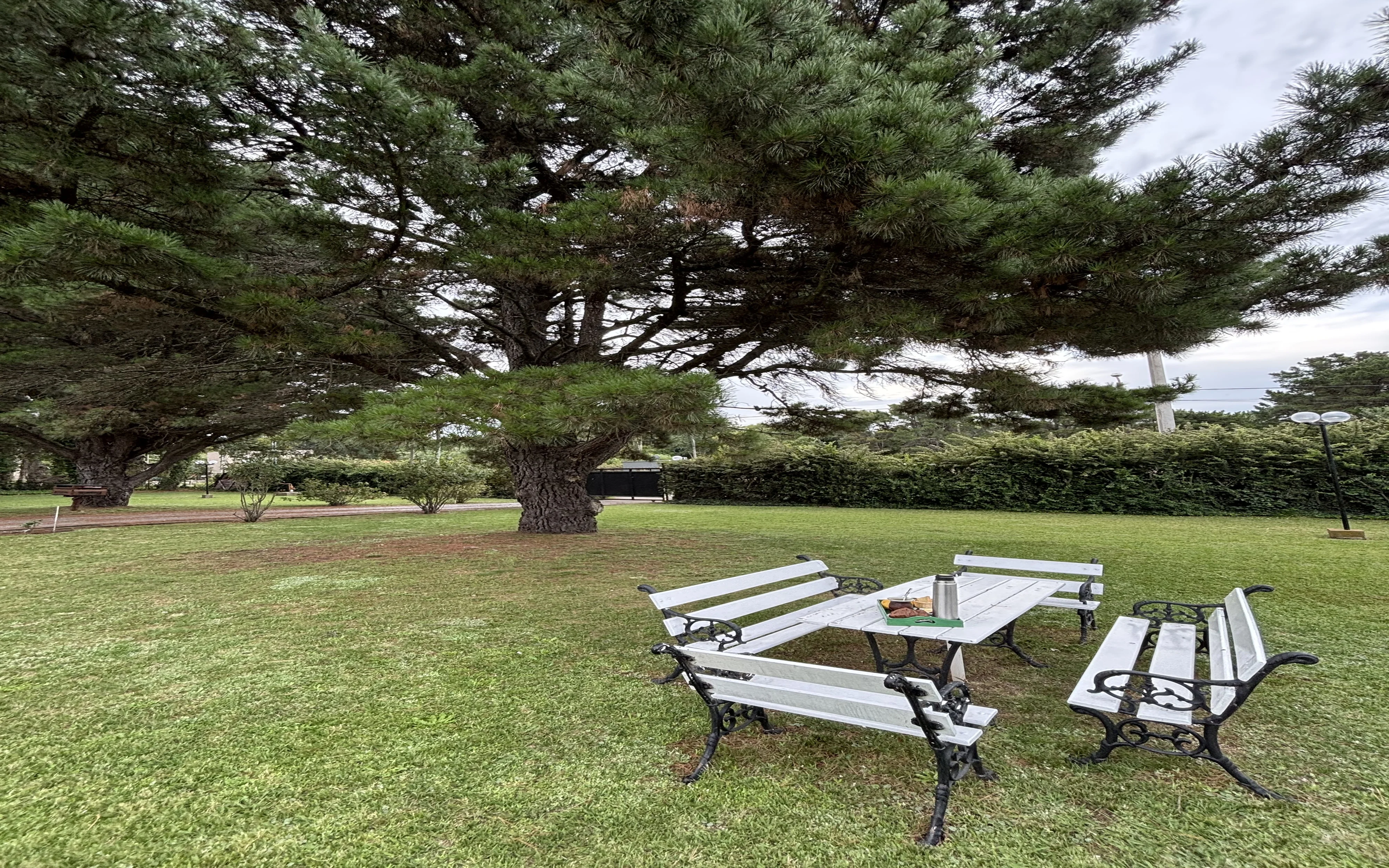 bancos con equipo de mate